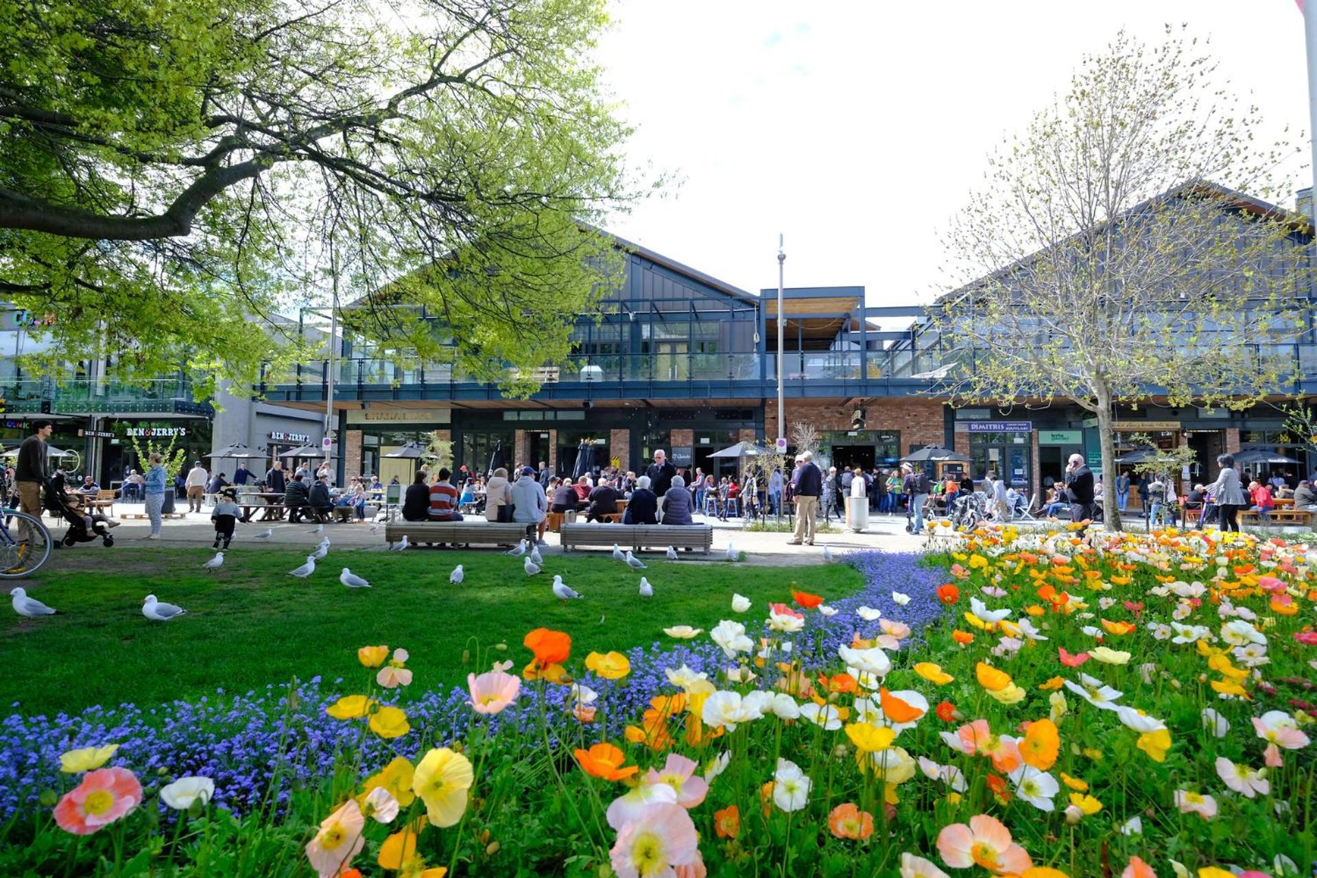 Cityscape Studio: Explore Wilmer Living Christchurch Extérieur photo